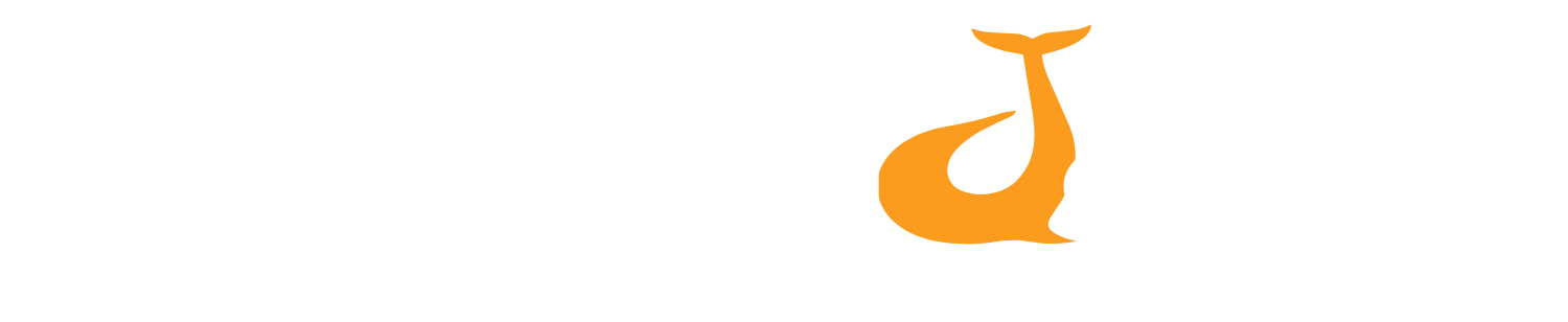 thewhales 